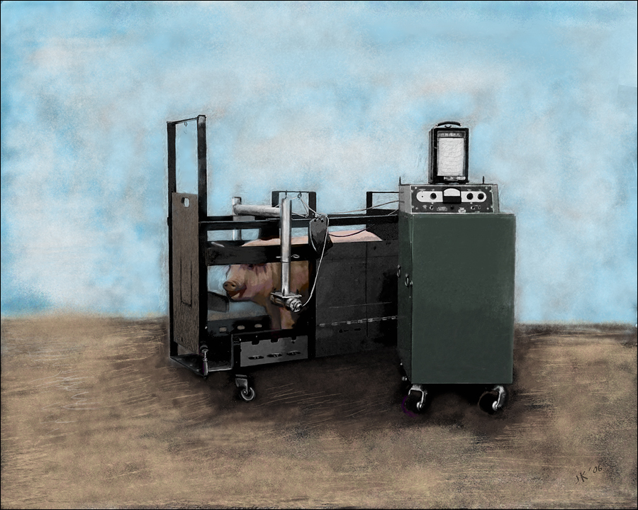 Pig at Hanford Animal Farm (declassified)