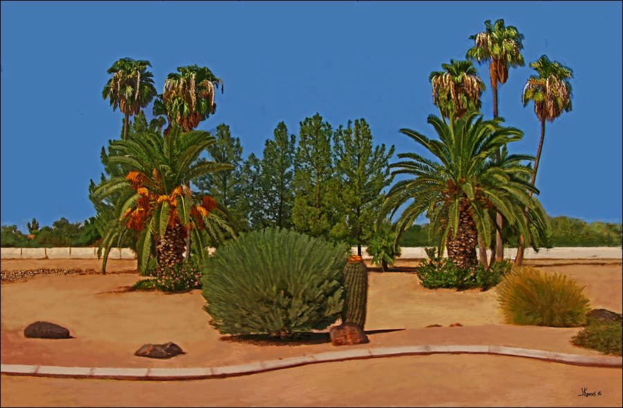 Phoenix Palms 2005 (digital painting)