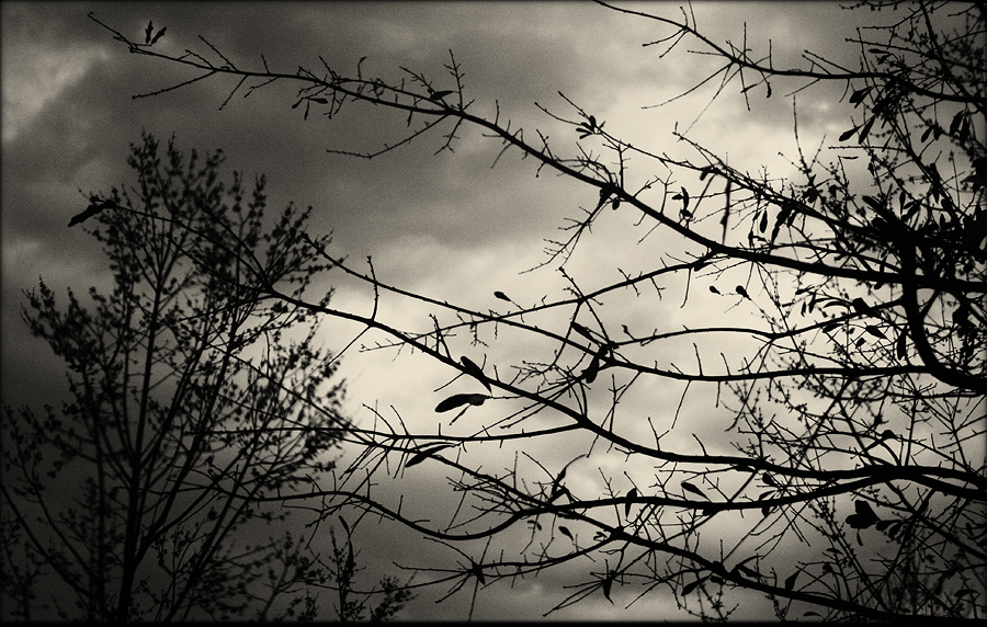 Wednesday Night's Stormy Sky