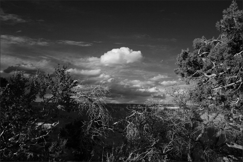 Grand Canyon and its Tourists Set