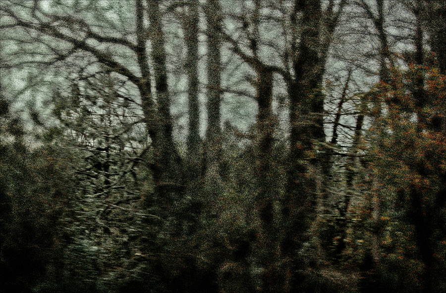 Over the River and Through the Woods #3