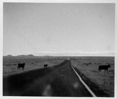 Very Large Array