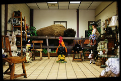 New Mexico Travel Center