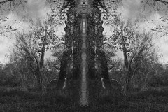 Flora Fauna 2