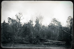 Louisiana 2