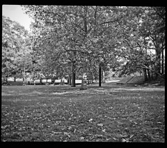 Park
