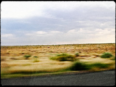 Somewhere in Arizona 11