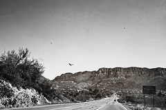 Somewhere in Arizona 18