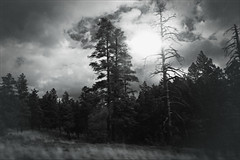 Somewhere in Arizona 7