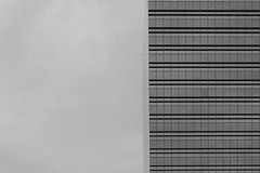 The Window