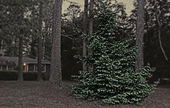 Atlanta 2 2017