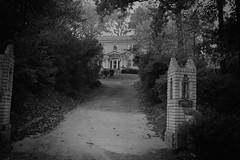 Decatur 2007