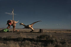 Battle of the Dinosaurs