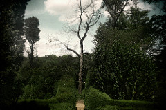 Garden 2012