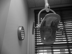 The Orthodontist