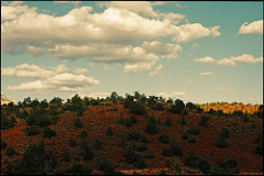 Sedona Gallery