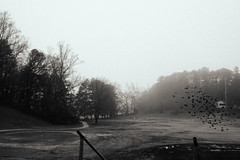 John White Park