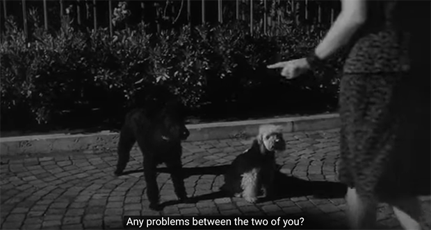 L'Eclisse'