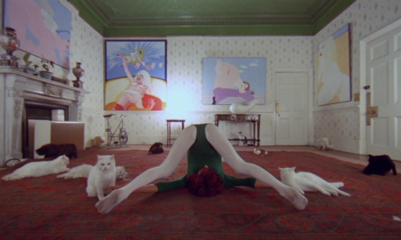 A Clockwork Orange - The cat woman