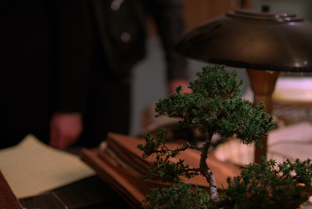 Bonsai